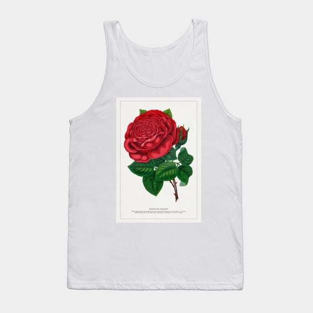 Red rose, American Beauty Lithograph (1900) Tank Top by WAITE-SMITH VINTAGE ART